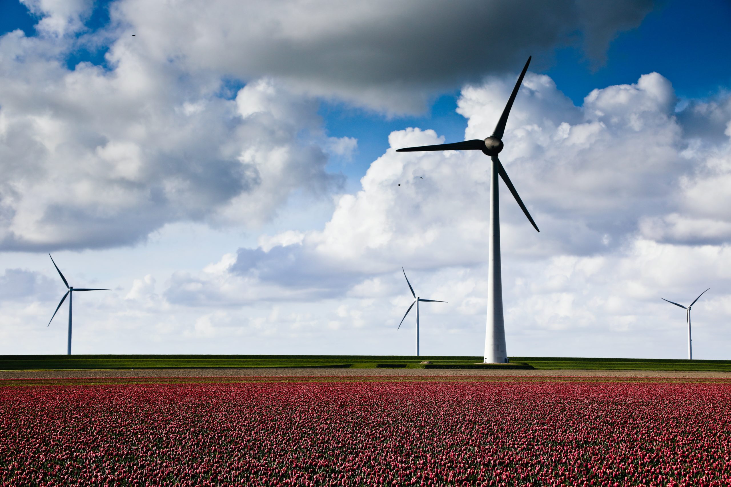 Wat betekent het Klimaatakkoord en de NAL voor jouw organisatie?